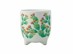 Royal Botanic Garden Victoria Arid Garden Planter Pot 14cm Prickly Pear