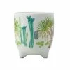 Royal Botanic Garden Victoria Arid Garden Planter Pot 14cm Dracaena