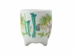 Royal Botanic Garden Victoria Arid Garden Planter Pot 14cm Dracaena