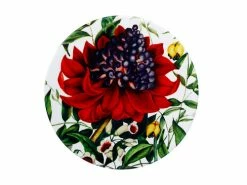 Royal Botanic Gardens Victoria Euphemia Henderson Ceramic Round Coaster 9.5cm Waratah