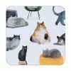 Marc Martin Feline Friends Cork Back Coaster 10.5cm Set of 4 Gift Boxed