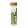 Royal Botanic Garden Victoria Arid Garden Glass Water Bottle 550ML Saguaro