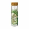 Royal Botanic Garden Victoria Arid Garden Glass Water Bottle 550ML Dracaena
