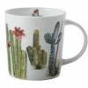 Royal Botanic Garden Victoria Arid Garden Mug 300ML Saguaro Gift Boxed