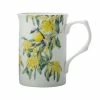 Royal Botanic Gardens Victoria Garden Friends Mug 300ML Robin Gift Boxed