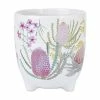 Royal Botanic Gardens Victoria Native Blooms Plant Pot 10cm