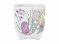 Royal Botanic Gardens Victoria Native Blooms Plant Pot 10cm