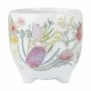 Royal Botanic Gardens Victoria Native Blooms Plant Pot 16cm