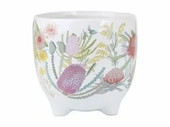 Royal Botanic Gardens Victoria Native Blooms Plant Pot 16cm