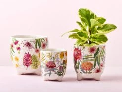 Marc Martin Shop -Marc Martin Shop ss22 website maxwell williams rbgv nativeblooms plantpots 2